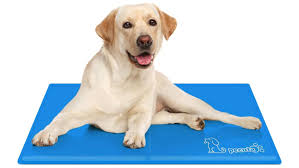 ALFOMBRA REFRIGERANTE PARA MASCOTAS Talla L  - 50% Dcto.