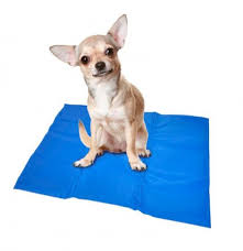 ALFOMBRA REFRIGERANTE PARA MASCOTAS Talla L  - 50% Dcto.