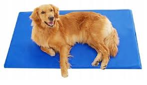 ALFOMBRA REFRIGERANTE PARA MASCOTAS Talla L  - 50% Dcto.